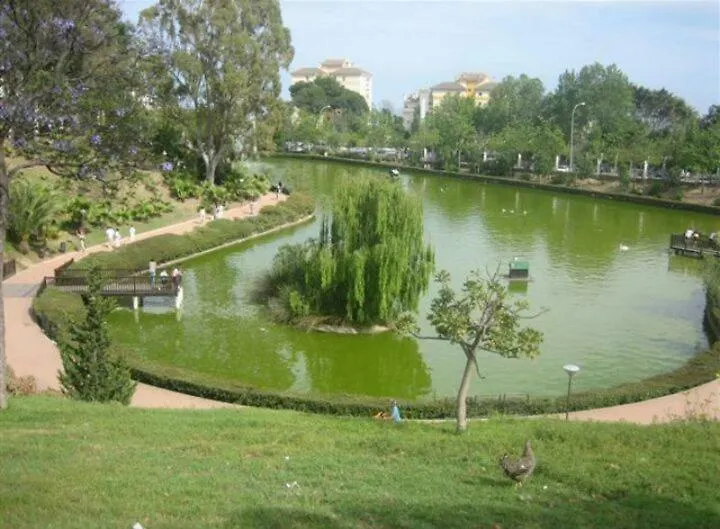 Estudio Sagitario Benalmadena